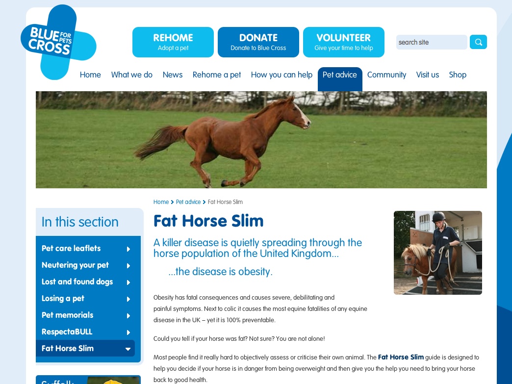 Fat Horse Slim campaign webpage